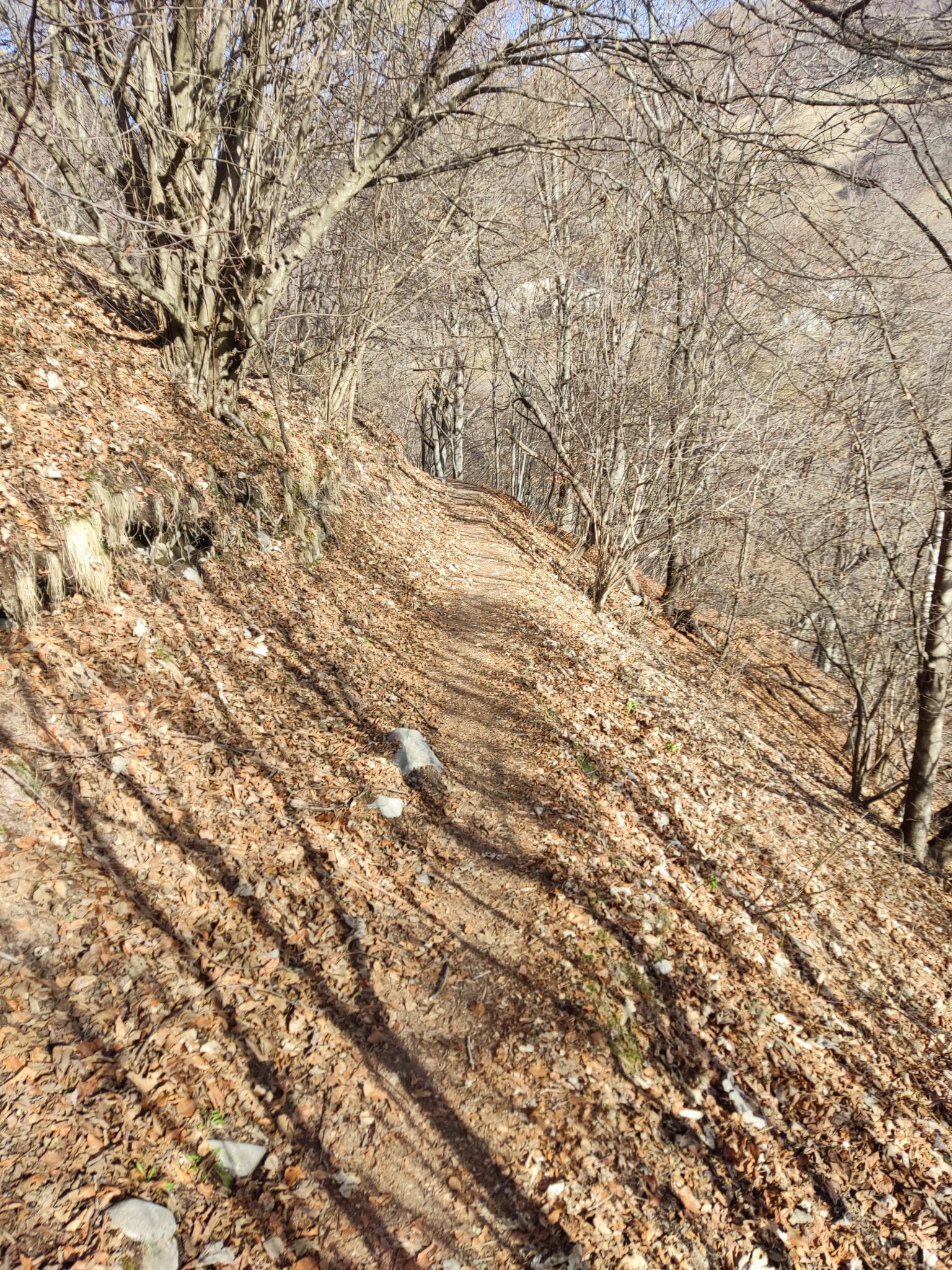 Sentiero escursionistico nella Valle di Muggio vicino a Scudellate in direzione Erbonne