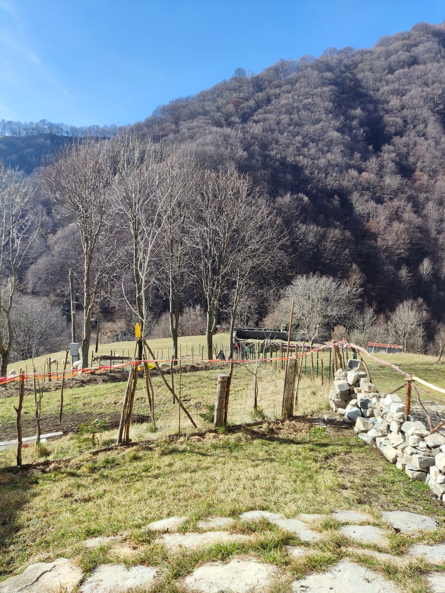Berglandschaft in der Valle di Muggio im Erbonne im Tessin mit Wiesen, Wäldern und typischer Natur der Südschweiz