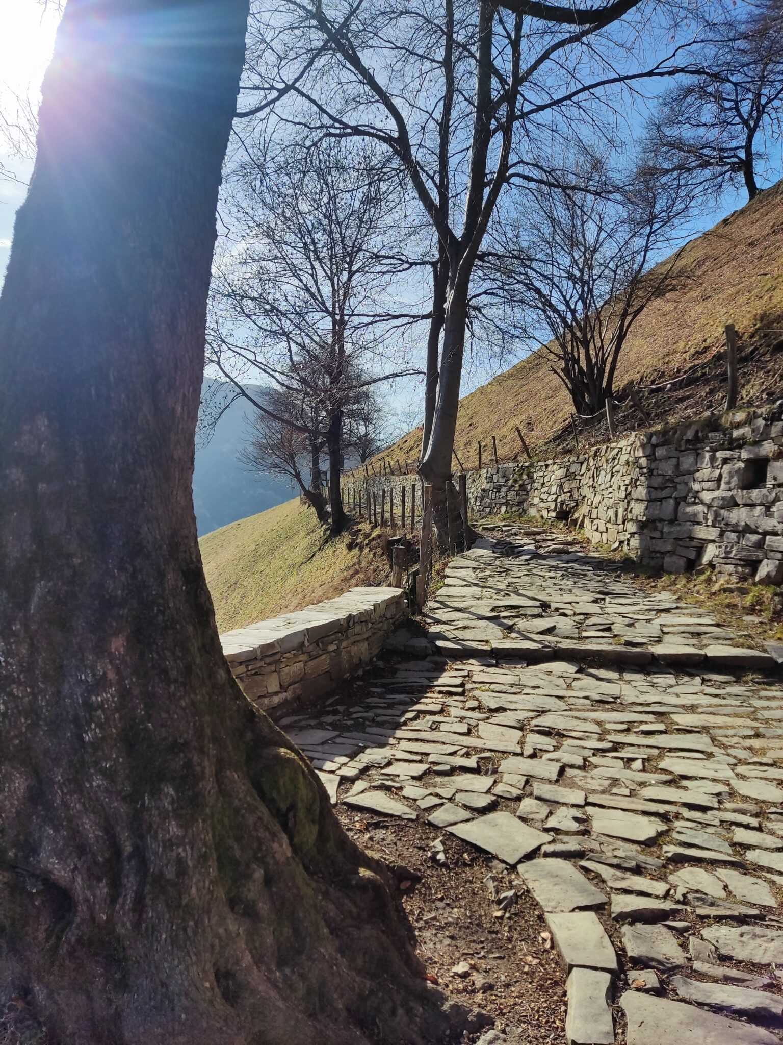 Historischer Steinweg im Valle di Muggio im Tessin